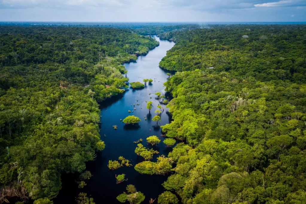 Decisão solitária da Aneel desencadeia debate sobre futuro da Amazonas Energia